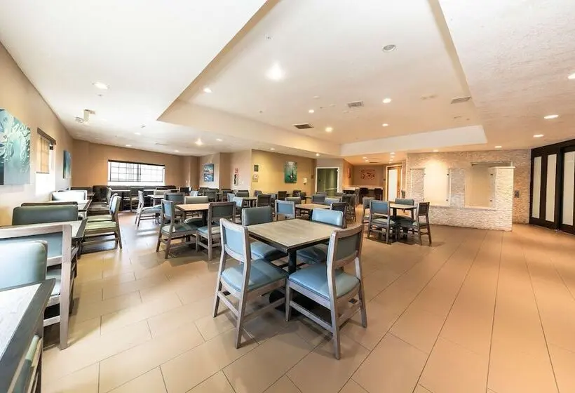 Fotos del hotel Comfort Inn & Suites San Diego Zoo Seaworld Area:  4