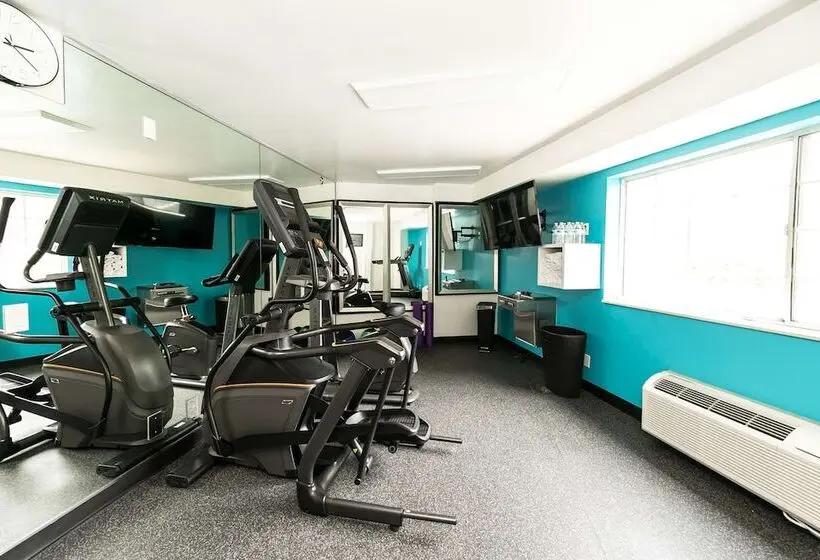 Fotos del hotel Comfort Inn & Suites San Diego Zoo Seaworld Area:  5