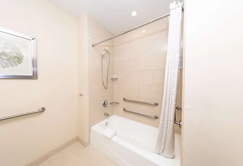 Fotos del hotel Comfort Inn & Suites San Diego Zoo Seaworld Area:  7