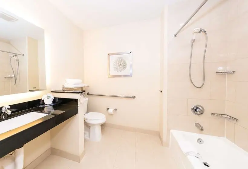 Fotos del hotel Comfort Inn & Suites San Diego Zoo Seaworld Area:  11