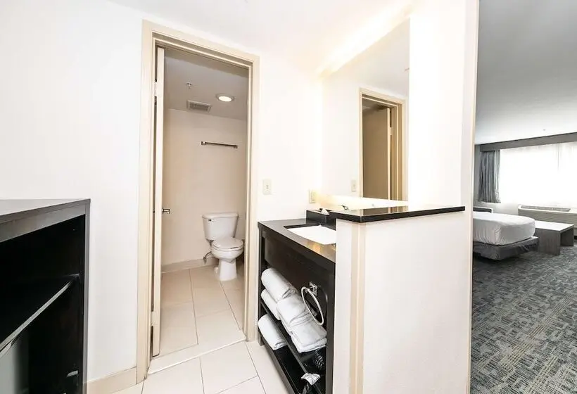 Fotos del hotel Comfort Inn & Suites San Diego Zoo Seaworld Area:  21