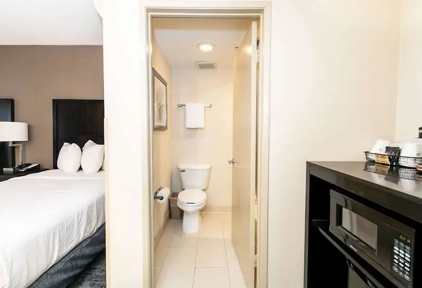 Fotos del hotel Comfort Inn & Suites San Diego Zoo Seaworld Area:  25