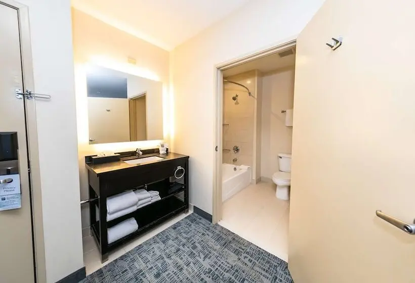 Fotos del hotel Comfort Inn & Suites San Diego Zoo Seaworld Area:  15