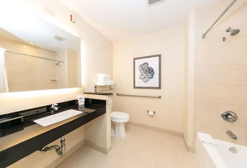 Fotos del hotel Comfort Inn & Suites San Diego Zoo Seaworld Area:  17