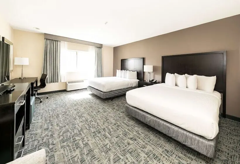 Fotos del hotel Comfort Inn & Suites San Diego Zoo Seaworld Area:  9