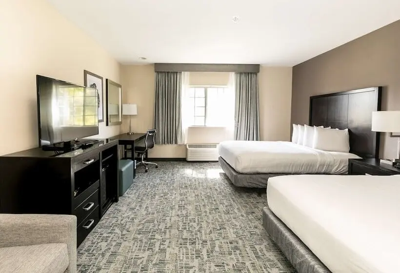 Fotos del hotel Comfort Inn & Suites San Diego Zoo Seaworld Area:  13