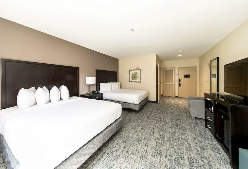Fotos del hotel Comfort Inn & Suites San Diego Zoo Seaworld Area:  16