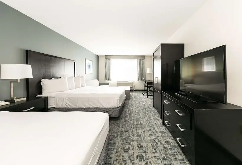 Fotos del hotel Comfort Inn & Suites San Diego Zoo Seaworld Area:  18