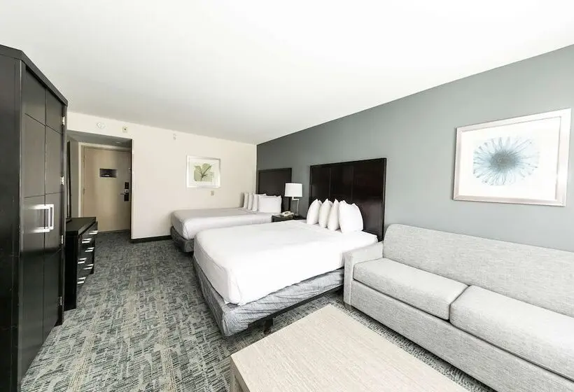 Fotos del hotel Comfort Inn & Suites San Diego Zoo Seaworld Area:  20
