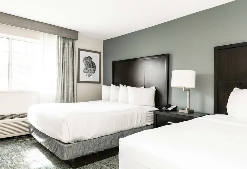 Fotos del hotel Comfort Inn & Suites San Diego Zoo Seaworld Area:  2