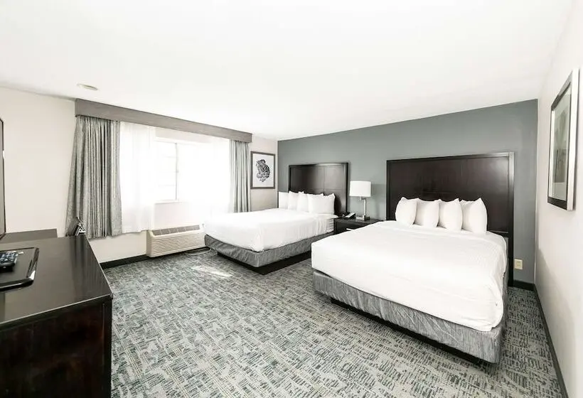 Fotos del hotel Comfort Inn & Suites San Diego Zoo Seaworld Area:  22