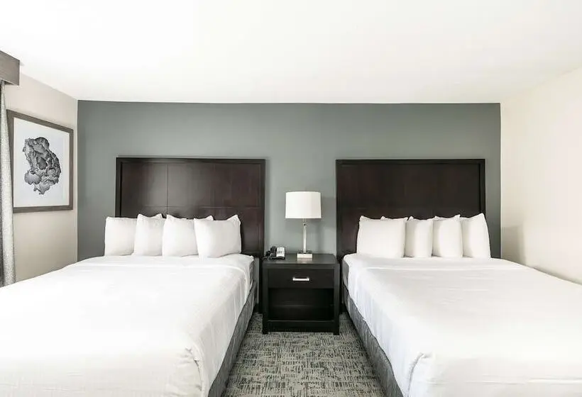 Fotos del hotel Comfort Inn & Suites San Diego Zoo Seaworld Area:  24