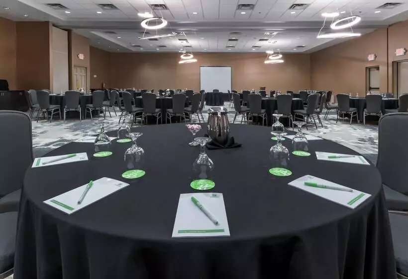 Fotos del hotel Holiday Inn Hotel & Suites Phoenix Airport North :  6