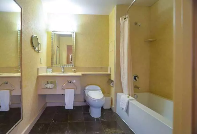 Fotos del hotel Porto Vista Hotel In Little Italy:  5