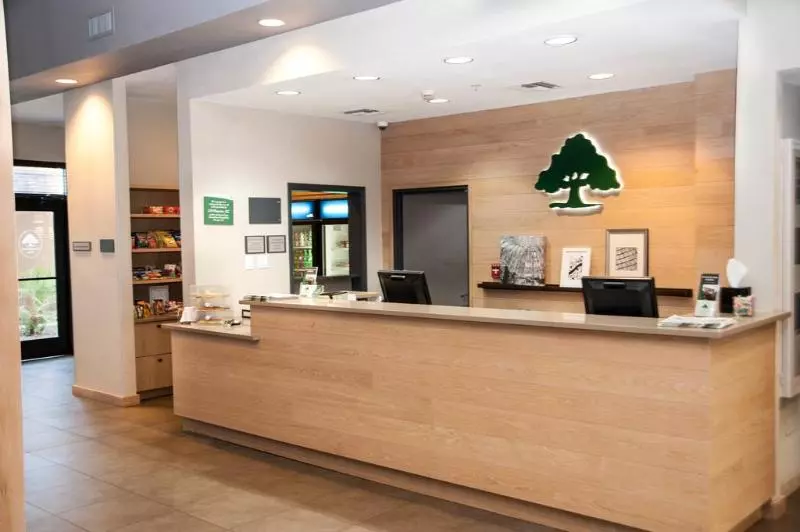 Fotos del hotel Greentree Inn & Suites Phoenix Sky Harbor:  4