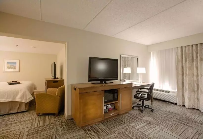 Fotos del hotel Hampton Inn Atlanta-northlake:  21
