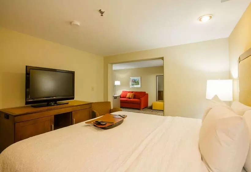 Fotos del hotel Hampton Inn Atlanta-northlake:  23