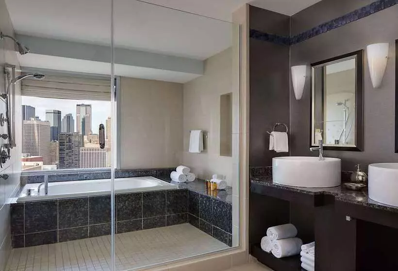 Fotos del hotel Hyatt Regency Dallas:  9