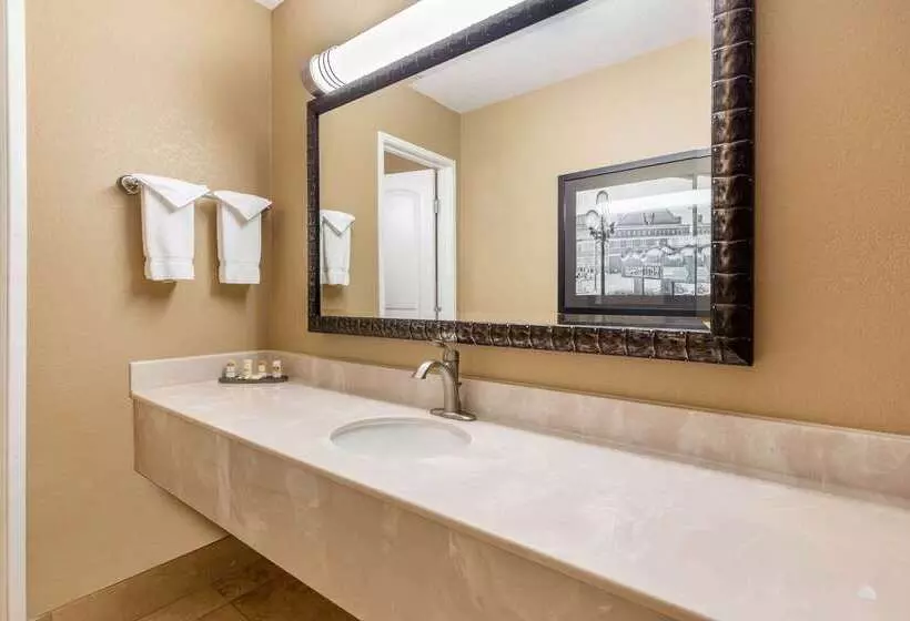 Fotos del hotel La Quinta By Wyndham Seattle Downtown:  7