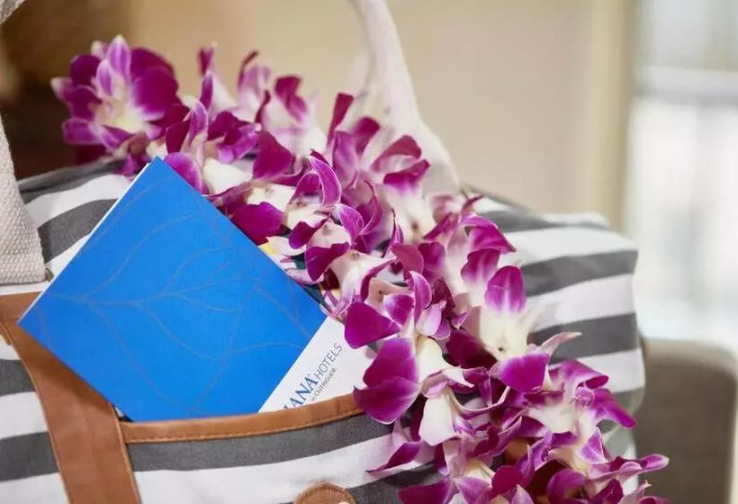 Fotos del hotel Ohana Waikiki East By Outrigger:  4