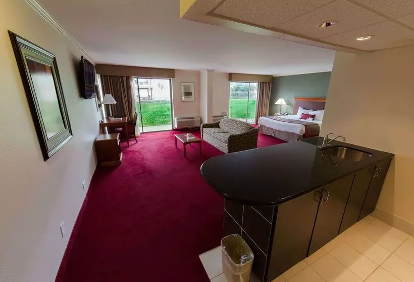 Fotos del hotel Ramada By Wyndham Houston Intercontinental Airport East:  25