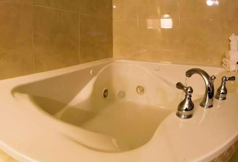 Fotos del hotel Ramada By Wyndham Houston Intercontinental Airport East:  9