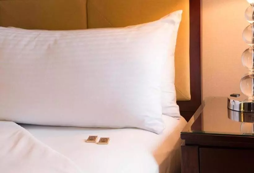 Fotos del hotel Millennium Knickerbocker Chicago:  22