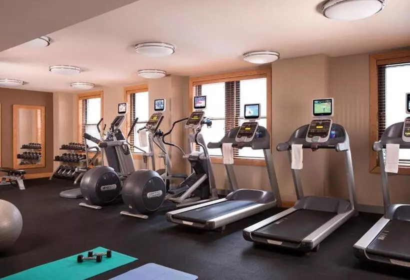 Fotos del hotel Millennium Knickerbocker Chicago:  2