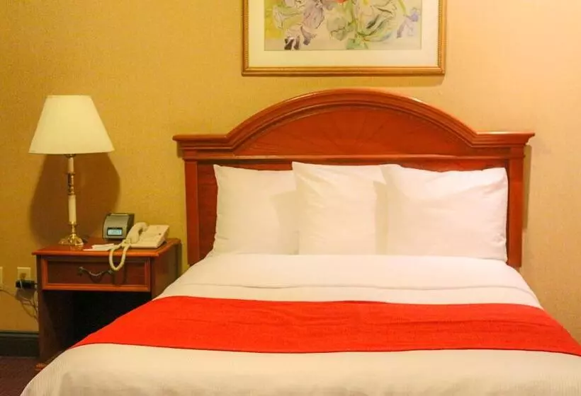 Fotos del hotel Newton:  16