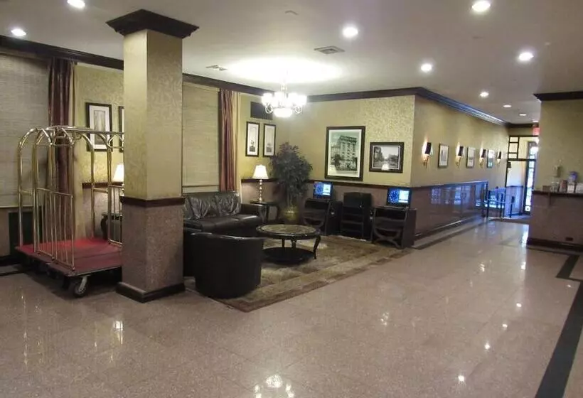 Fotos del hotel Newton:  3