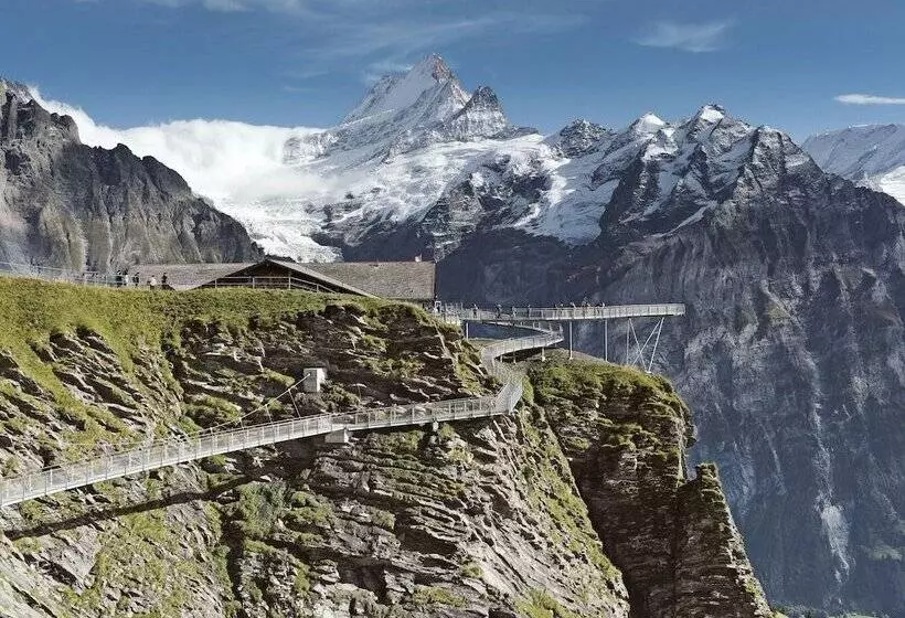 Fotos del hotel Victoria Jungfrau Grand Hotel & Spa:  15