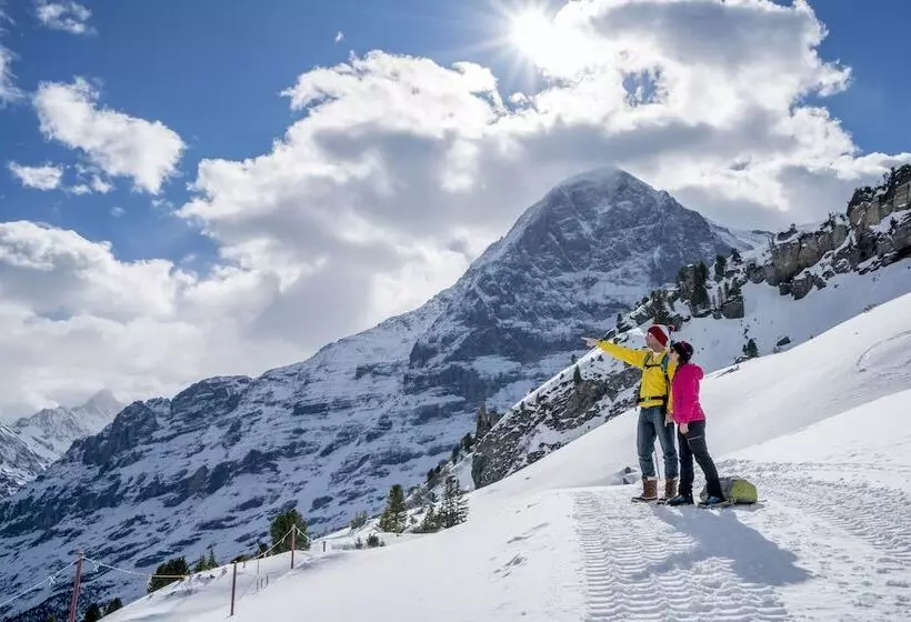 Fotos del hotel Victoria Jungfrau Grand Hotel & Spa:  13