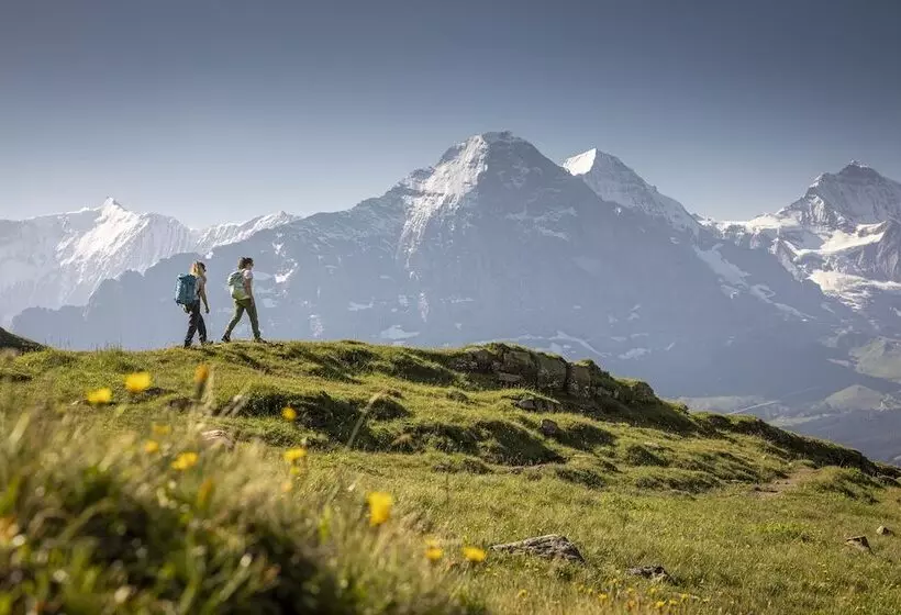 Fotos del hotel Victoria Jungfrau Grand Hotel & Spa:  19