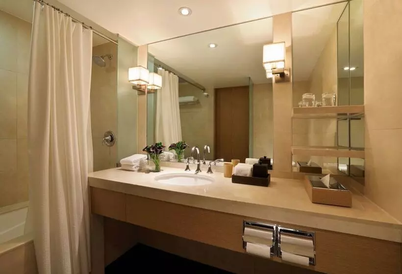 Fotos del hotel Hyatt Regency Mexico City:  8