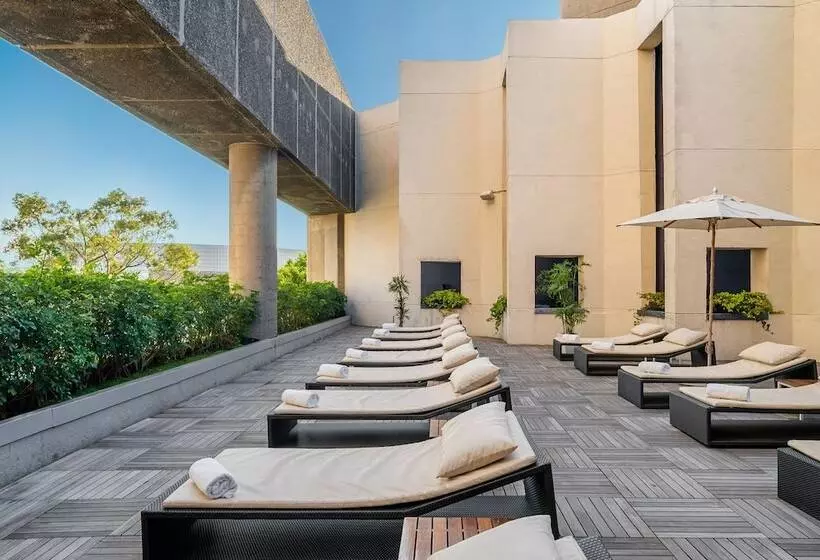 Fotos del hotel Hyatt Regency Mexico City:  4