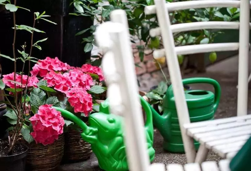 Fotos del hotel Schwalbe:  19