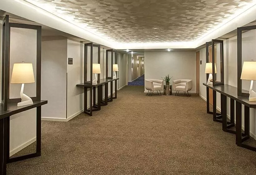 Fotos del hotel Zoe Fisherman's Wharf:  3