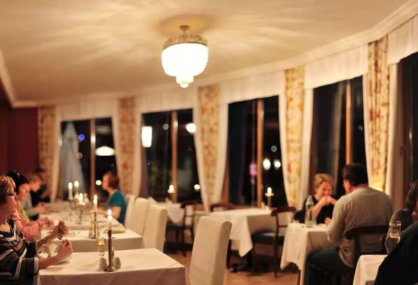 Fotos del hotel Villa Excelsior  & Kurhaus:  11