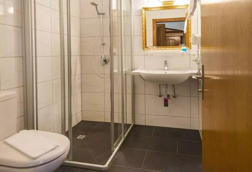 Fotos del hotel Villa Excelsior  & Kurhaus:  6