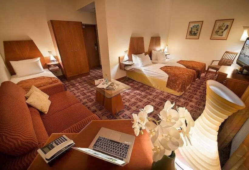 Fotos del hotel Grand Zvon:  13