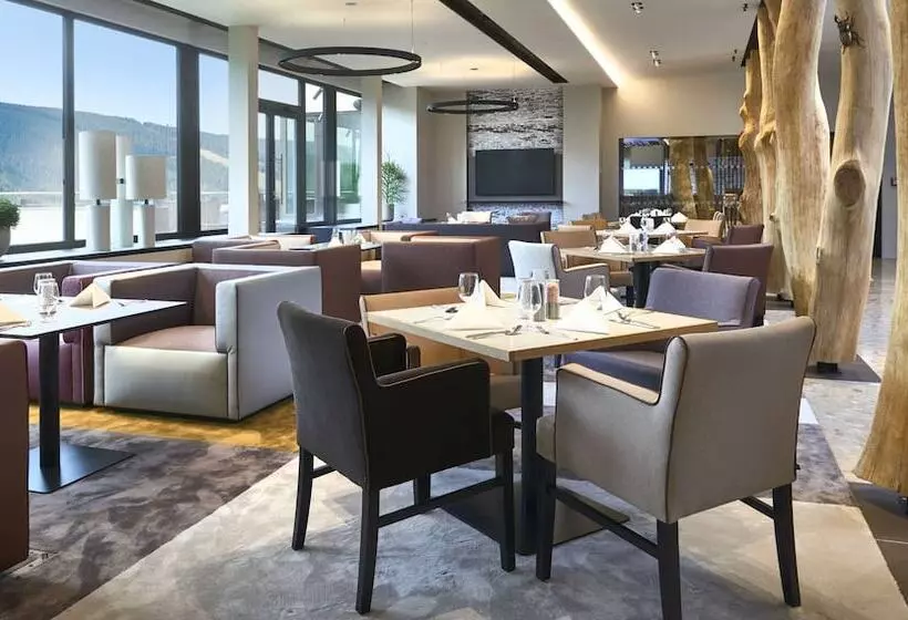 Fotos del hotel Orea Resort Horal špindler?v Mlýn:  10