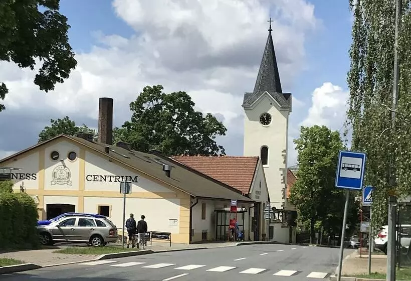 Fotos del hotel Svornost:  23