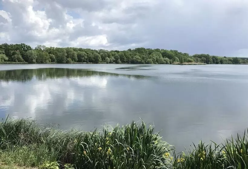 Fotos del hotel Svornost:  8