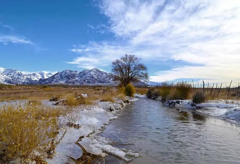 Fotos del hotel Ariosto:  9