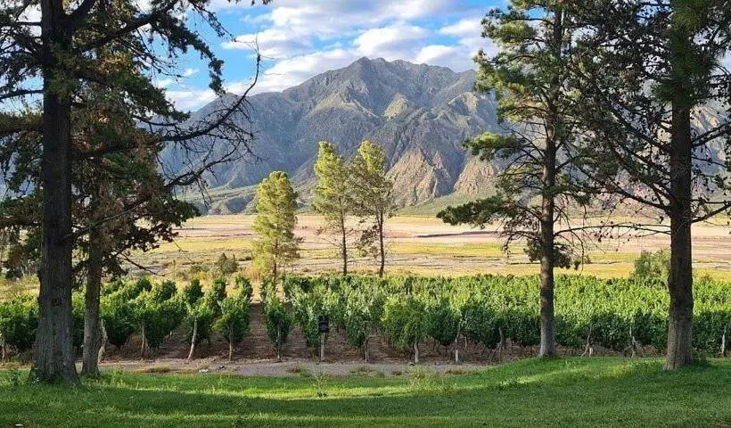 Fotos del hotel Ariosto:  6