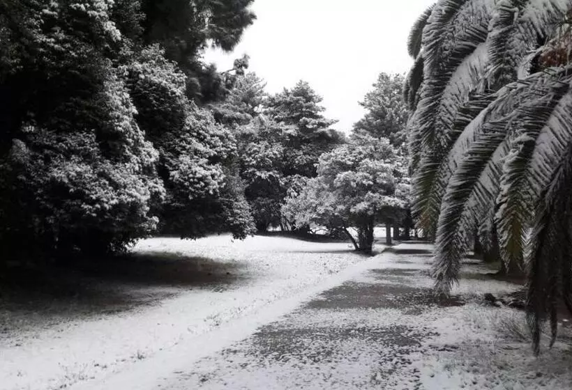 Fotos del hotel Ariosto:  5