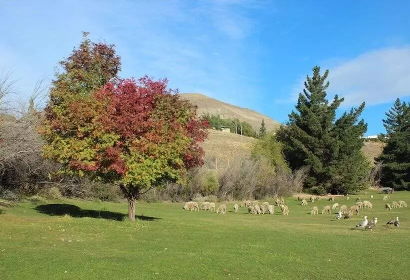 Fotos del hotel Kau Yatún Hotel Boutique:  20