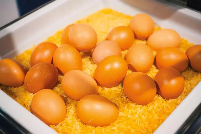 Fotos del hotel Vienna House Easy Leipzig City:  11