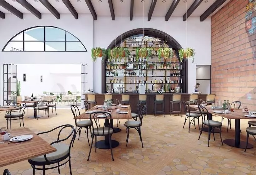 Fotos del hotel Tropicana Inn Del Cabo:  2