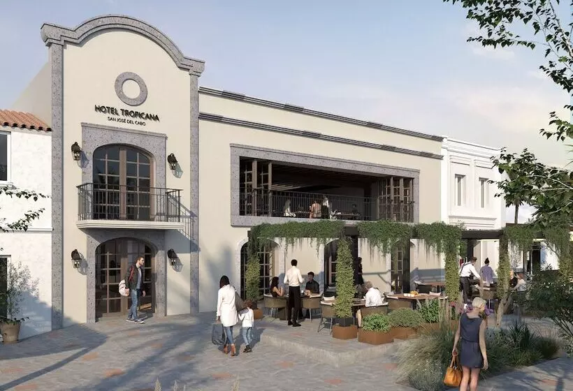 Fotos del hotel Tropicana Inn Del Cabo:  9